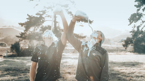 Spotlight: Cal Poly Dairy