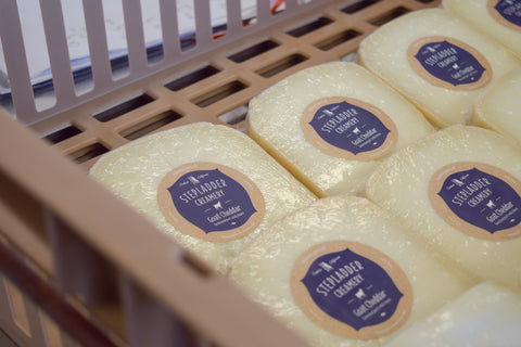 Behind-the-Scenes: Making Clothbound Goat Cheddar