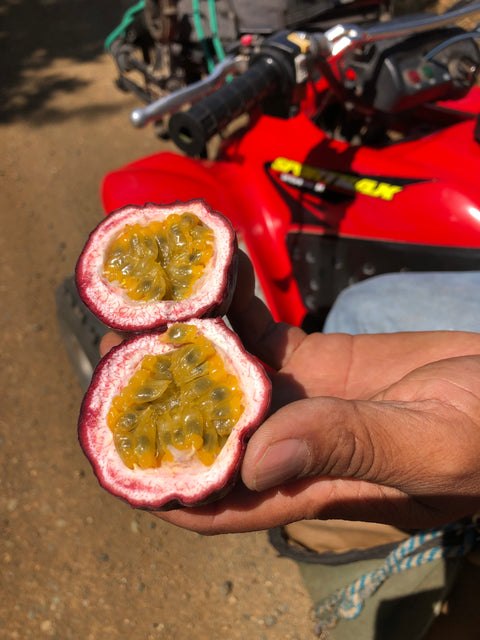 Passion Fruit Vinaigrette