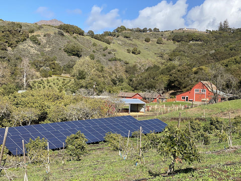 Sustainability at Stepladder Creamery