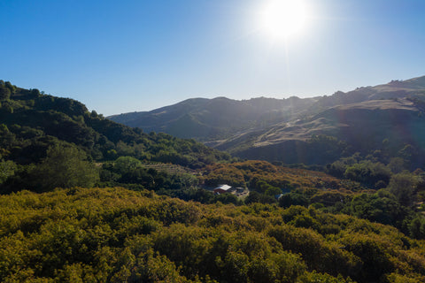 Cambria Named One of the Best Off-The-Radar Destinations by Best Life