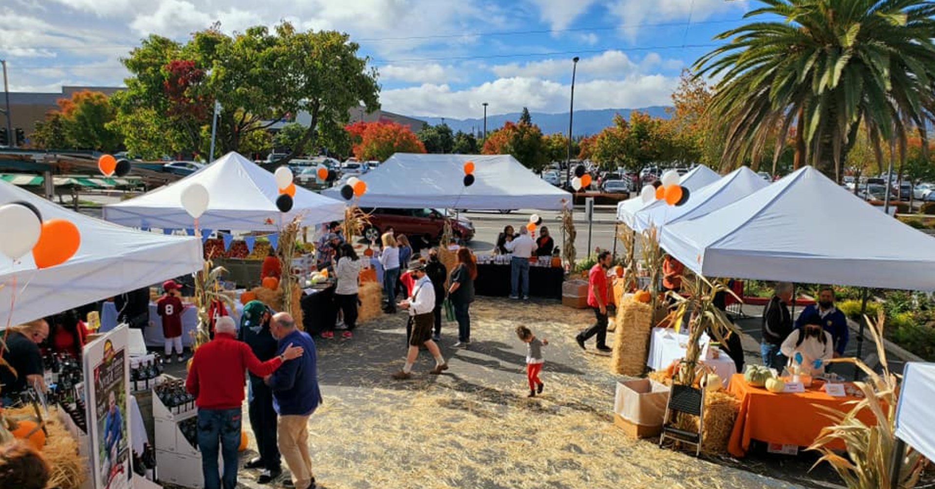Sigona's Fall Food Festival