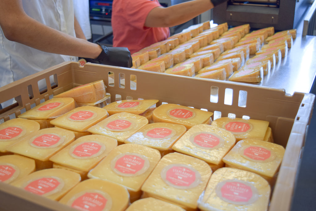 Behind-the-Scenes: Making Clothbound Cow Cheddar