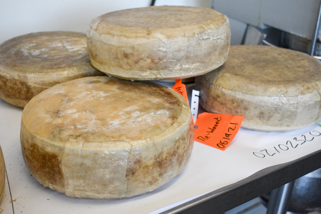 Clothbound Goat Cheddar Receives First Place at 2022 American Cheese Society Awards Competition