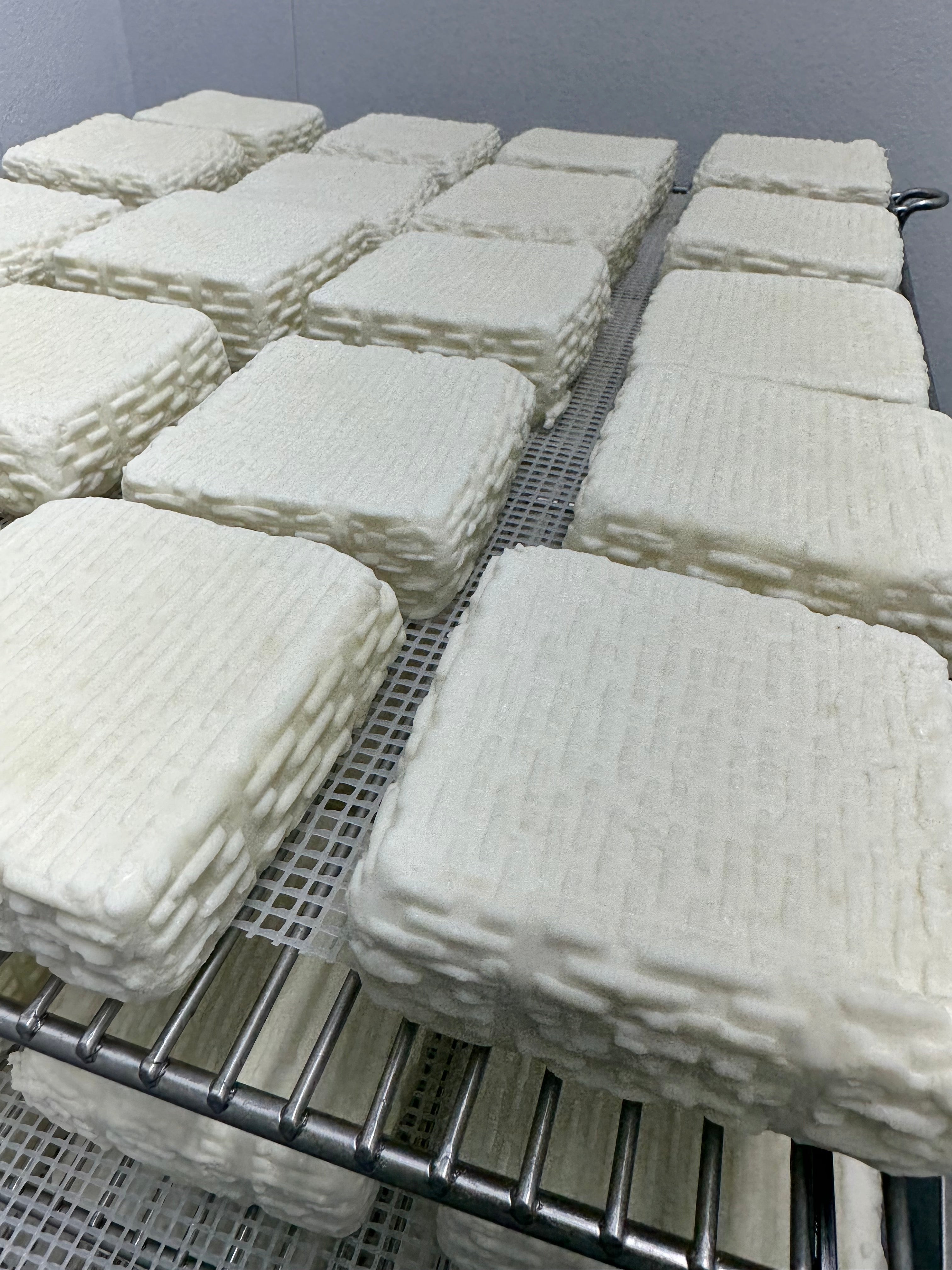 Behind-the-Scenes: Making Gorda