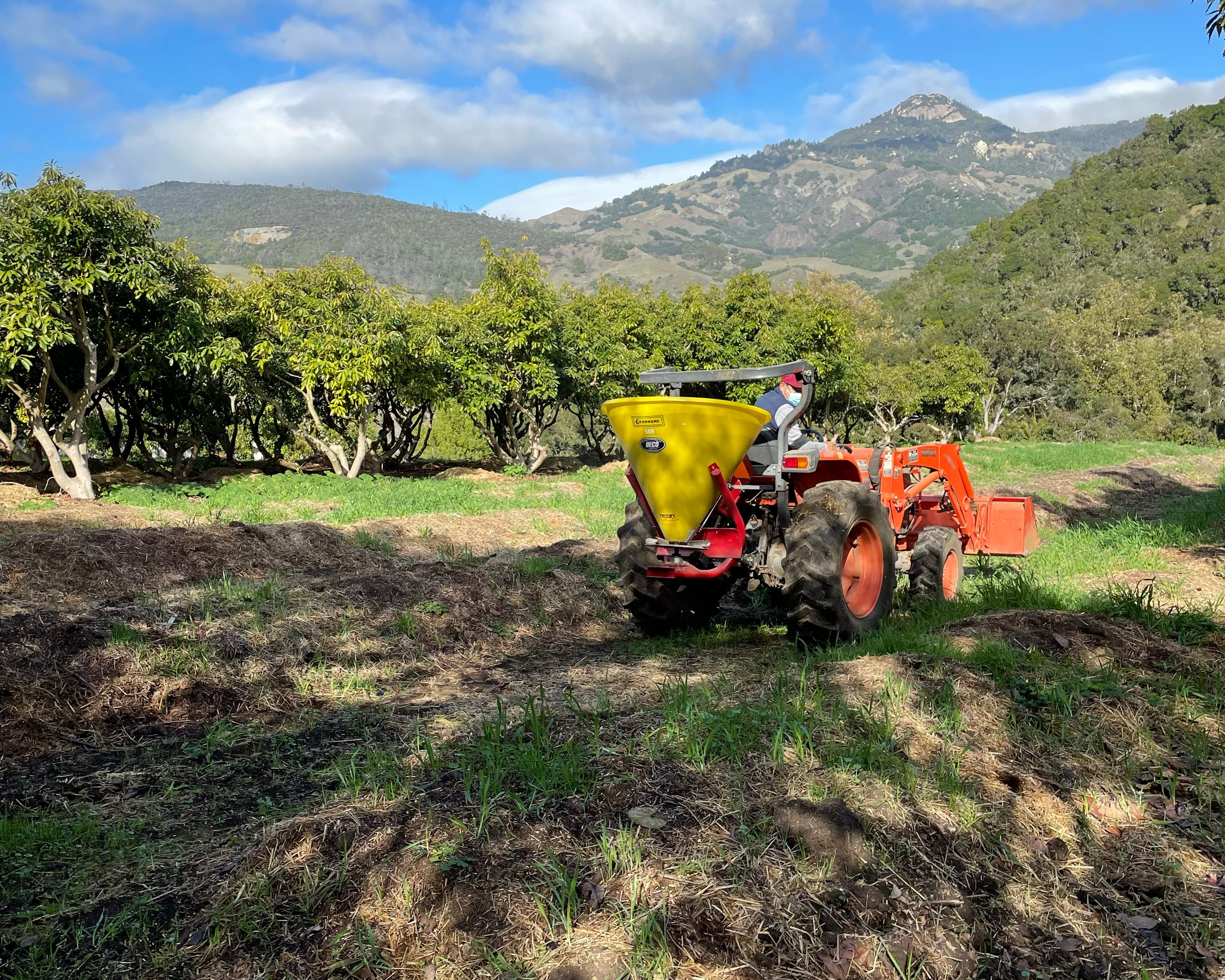 Cover Crops: What Are They and Why Are They Important?