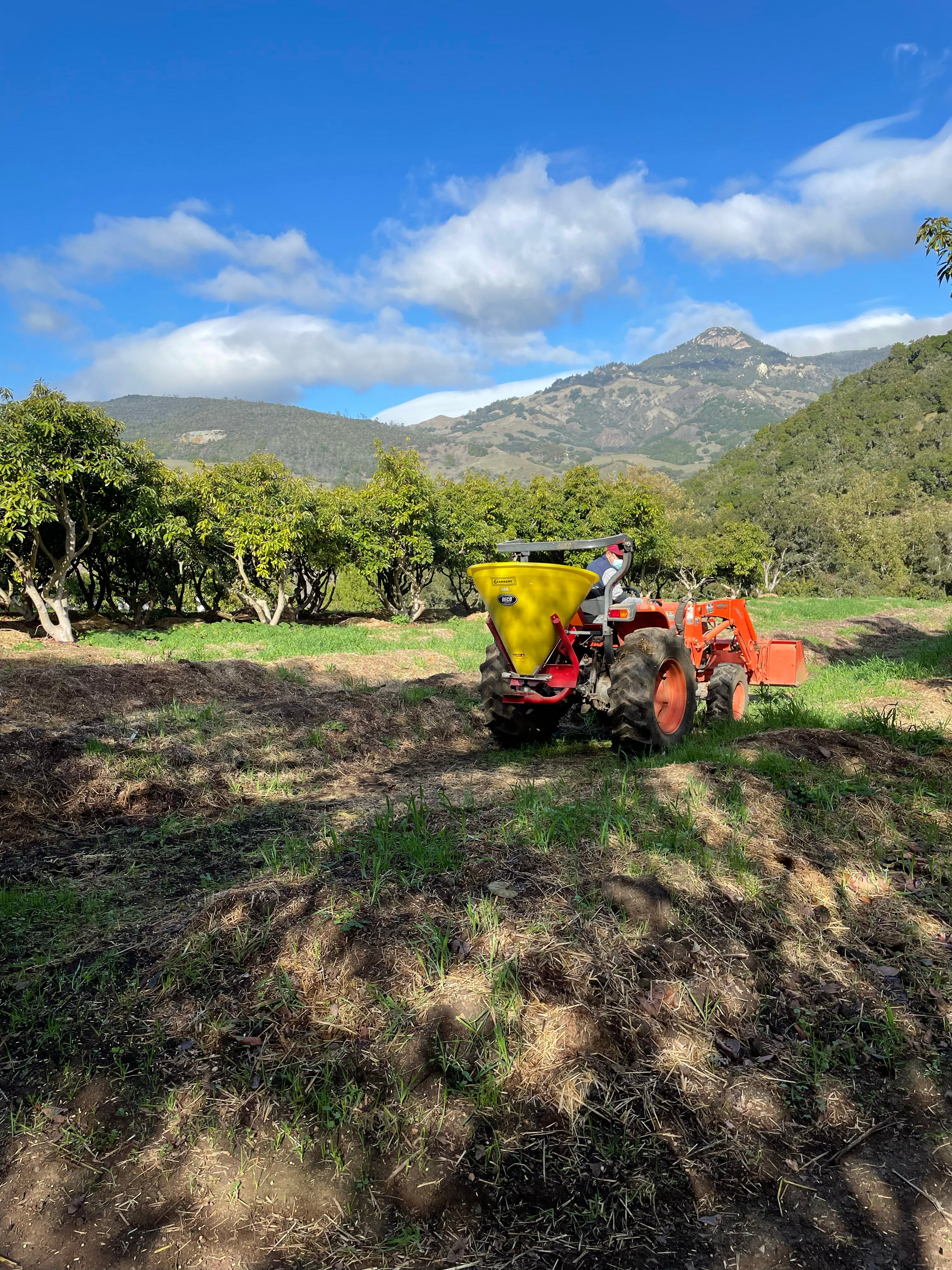 Cover Crops: What Are They and Why Are They Important?