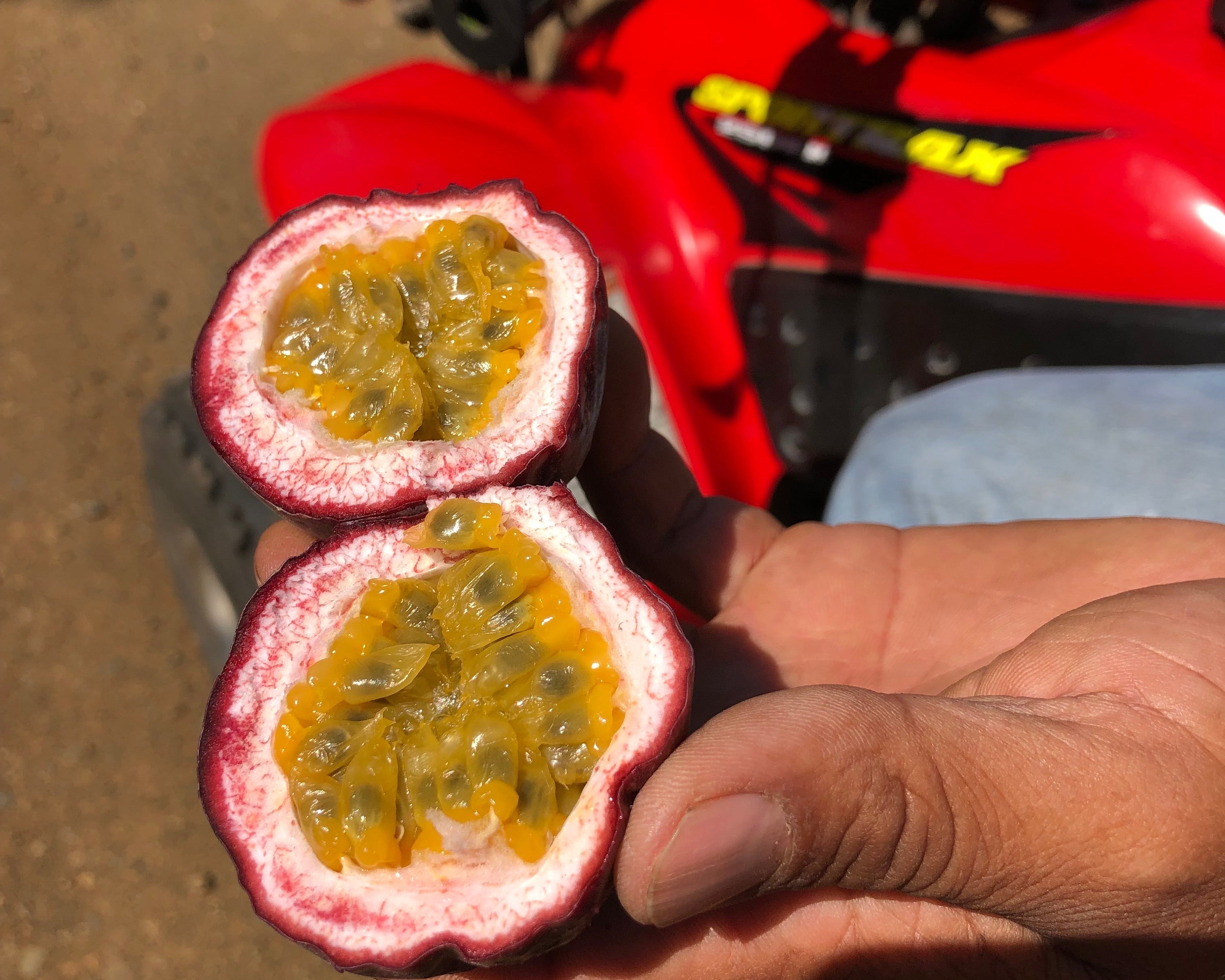 Passion Fruit Vinaigrette