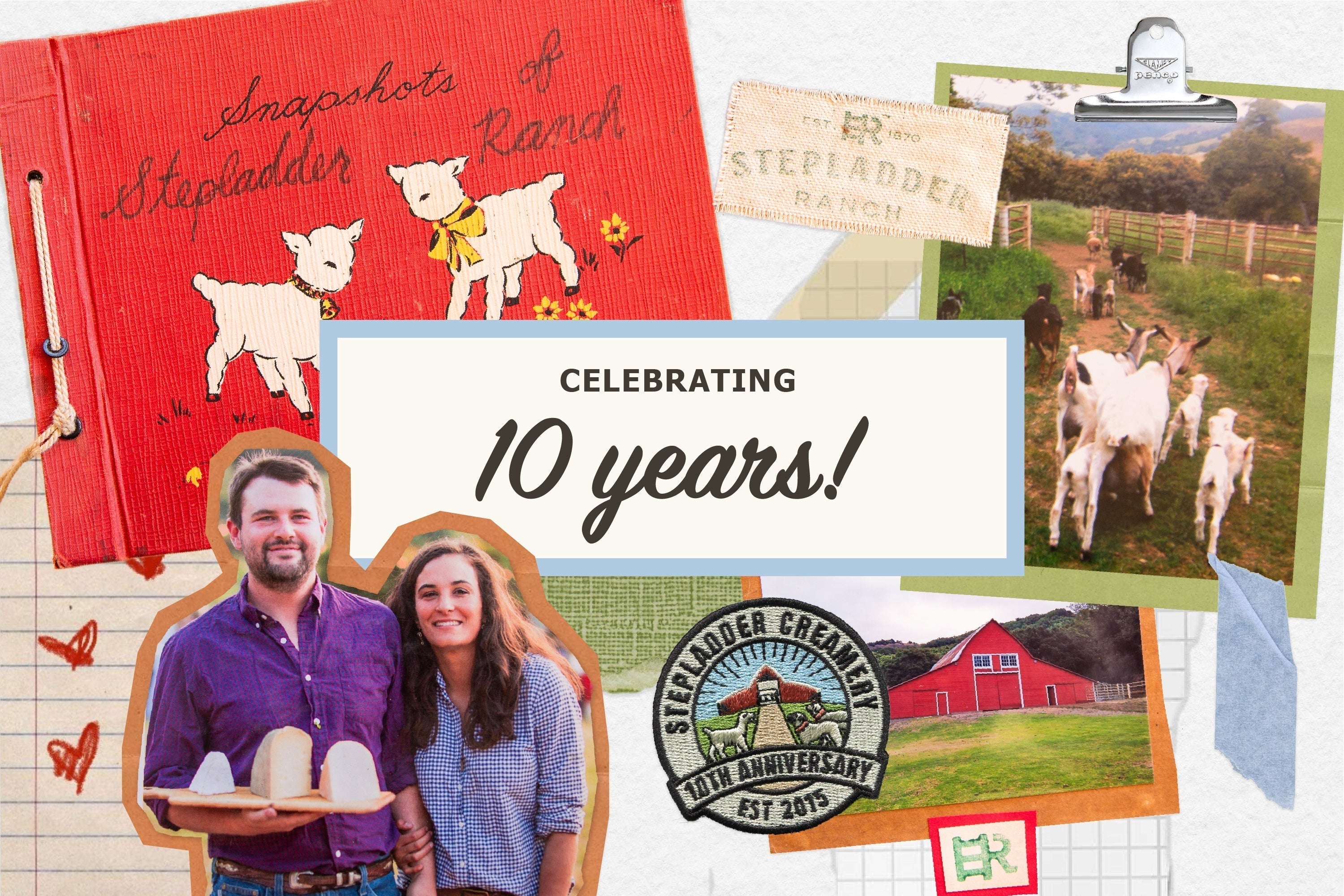 Celebrating 10 Years of Stepladder Creamery