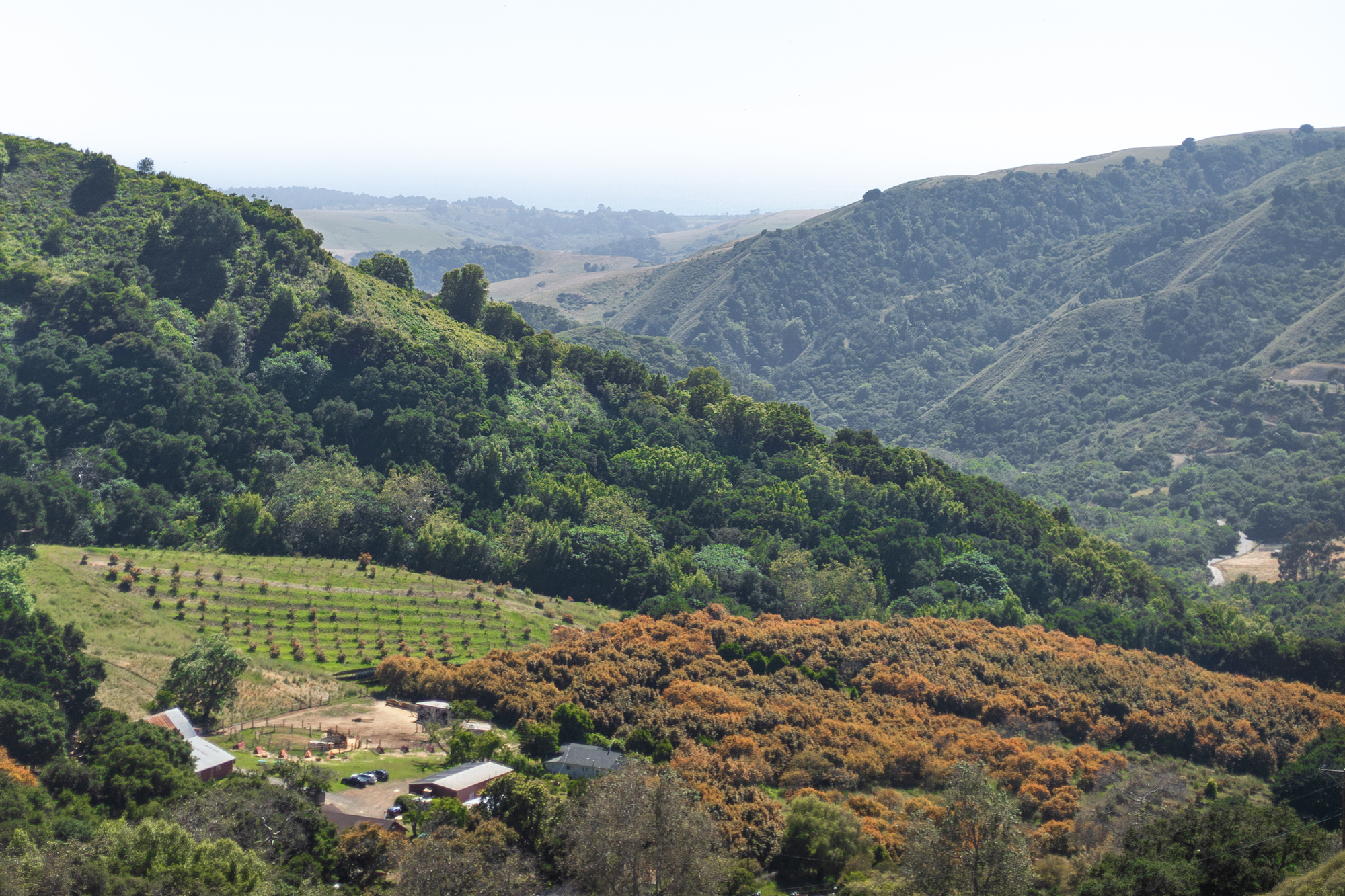 How Our Cheeses Got Their Names: A Tribute to California’s Coast