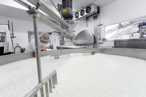 Stepladder Ranch & Creamery - Cheese production