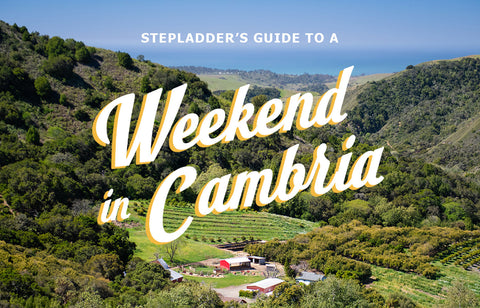 Stepladder Guide to a Weekend in Cambria, California