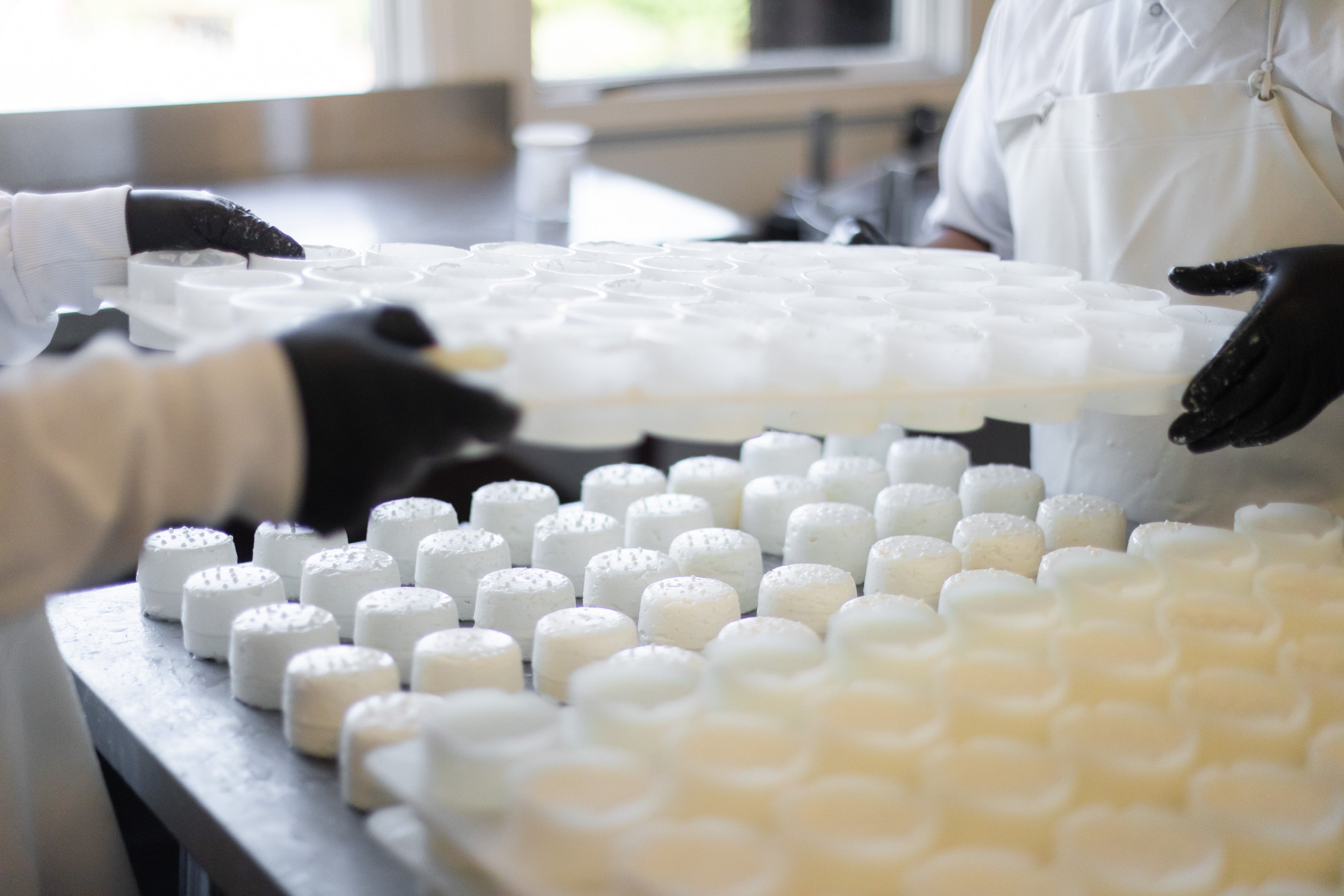 Stepladder Creamery Receives the Pacific Coast Coalition Dairy Business Innovation Grant