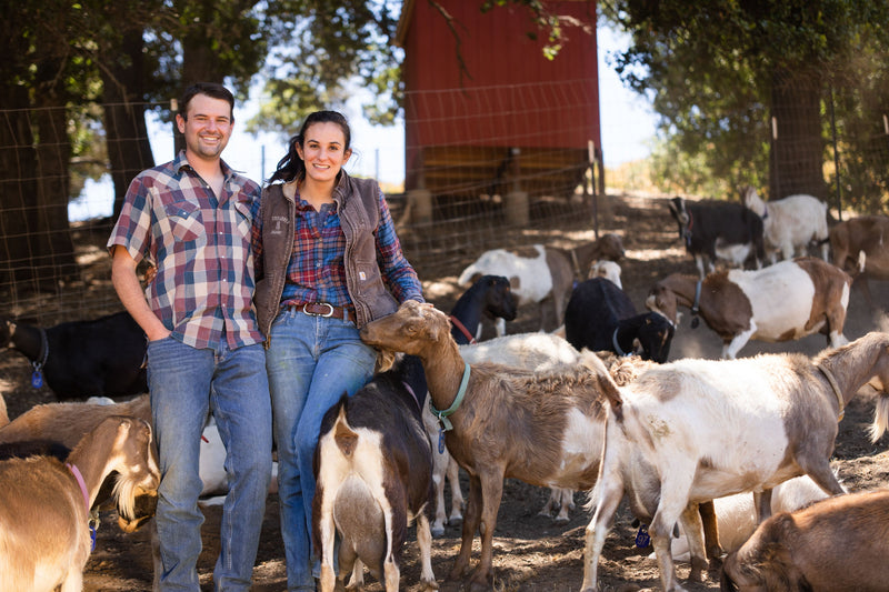 Family Farm