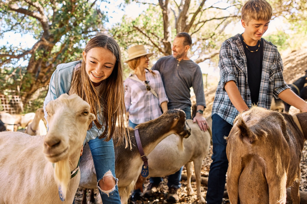 Family with LaMancha goats at Stepladder Ranch & Creamery in Cambria, California