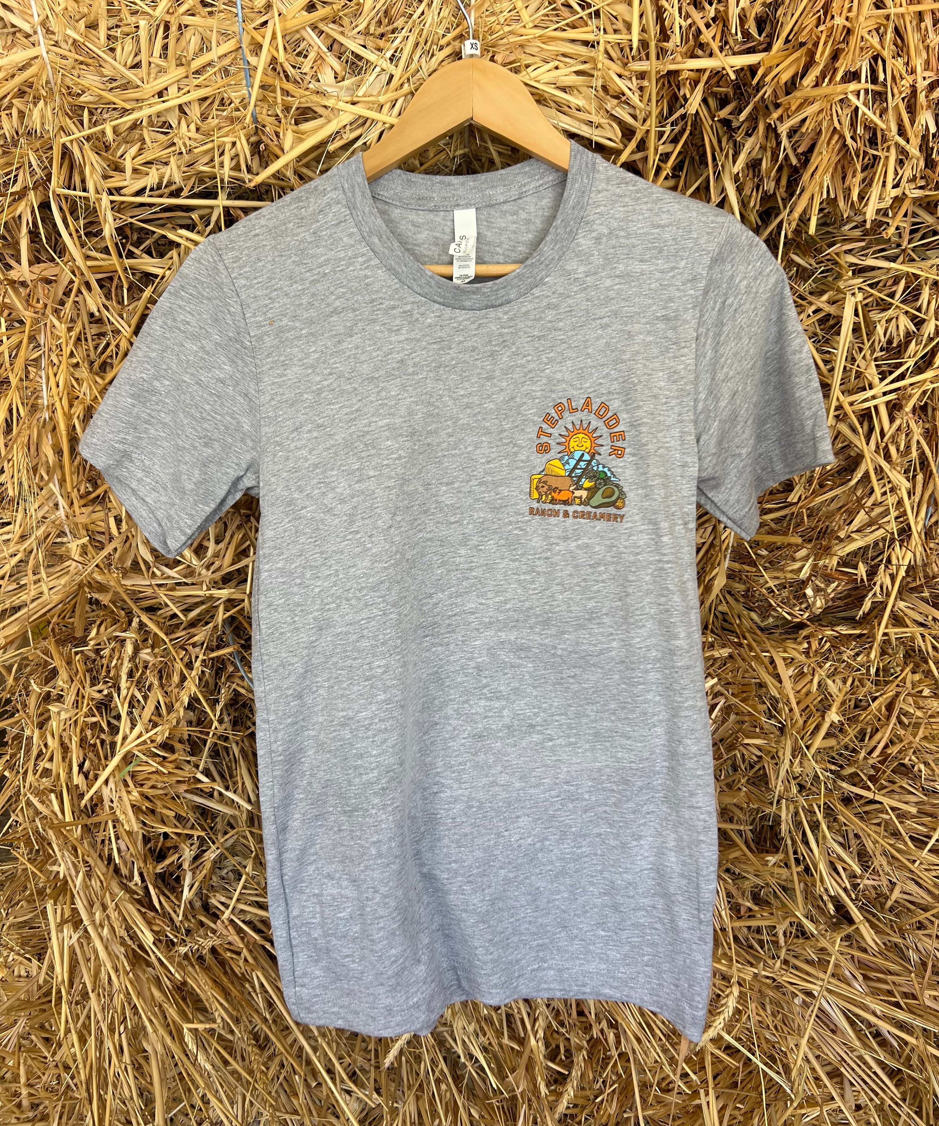 Sunshine T-shirt Gray