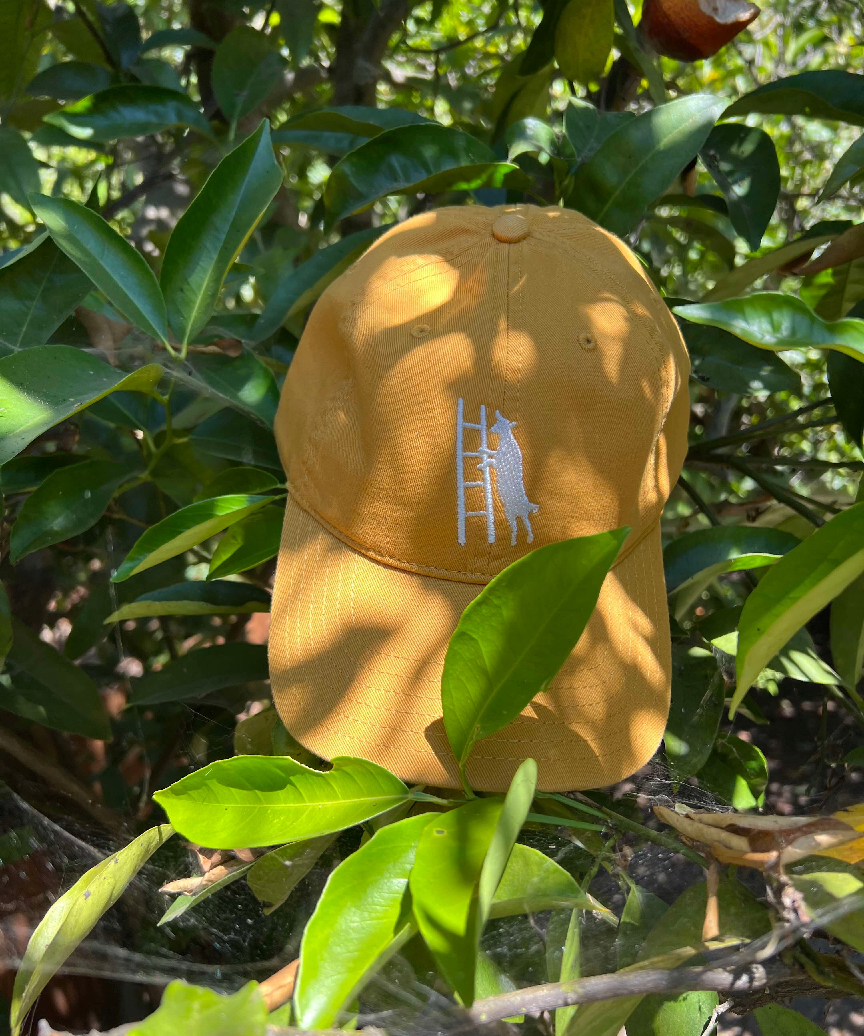 Dad Hat